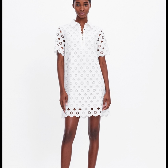 zara lace white dress